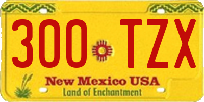 NM license plate 300TZX