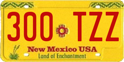 NM license plate 300TZZ