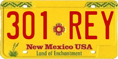 NM license plate 301REY