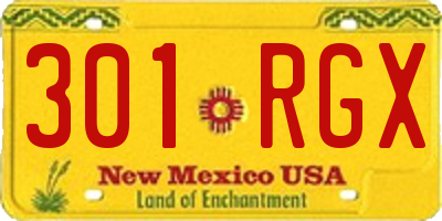 NM license plate 301RGX