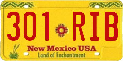 NM license plate 301RIB