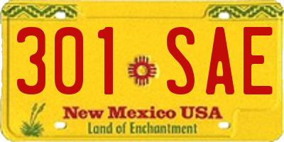 NM license plate 301SAE