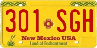 NM license plate 301SGH
