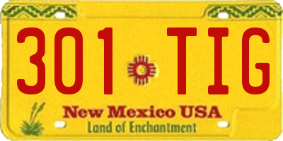 NM license plate 301TIG