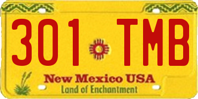 NM license plate 301TMB