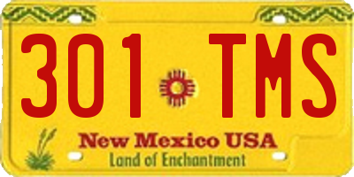 NM license plate 301TMS