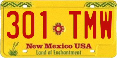 NM license plate 301TMW