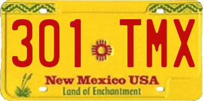 NM license plate 301TMX