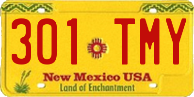NM license plate 301TMY