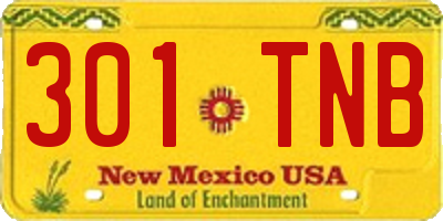 NM license plate 301TNB