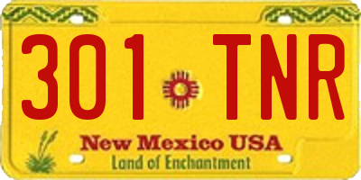 NM license plate 301TNR