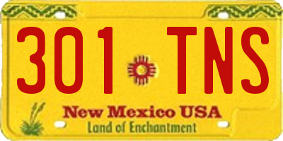 NM license plate 301TNS
