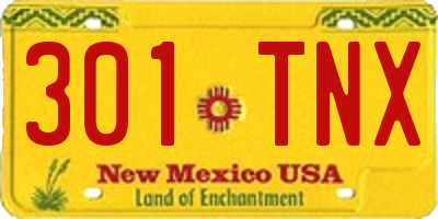 NM license plate 301TNX