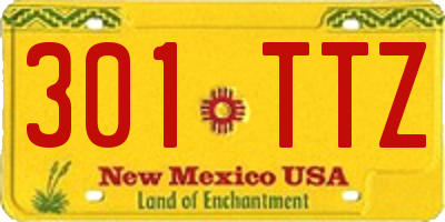 NM license plate 301TTZ