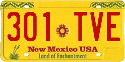 NM license plate 301TVE