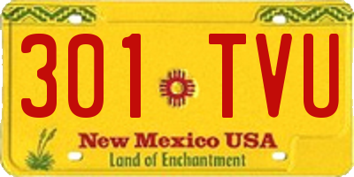 NM license plate 301TVU