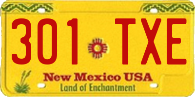 NM license plate 301TXE