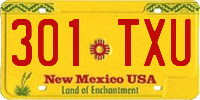 NM license plate 301TXU