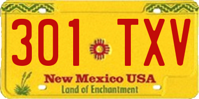 NM license plate 301TXV