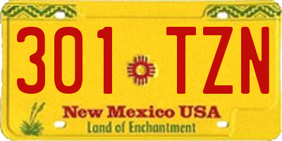 NM license plate 301TZN