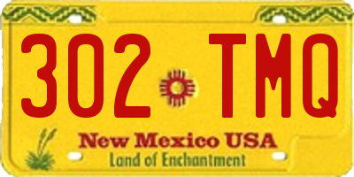 NM license plate 302TMQ
