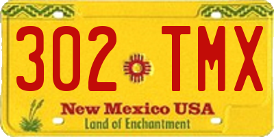 NM license plate 302TMX