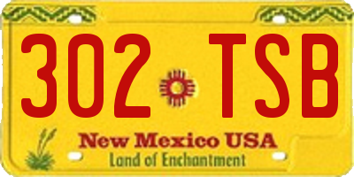 NM license plate 302TSB