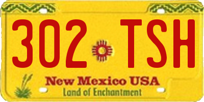 NM license plate 302TSH