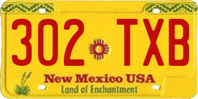 NM license plate 302TXB