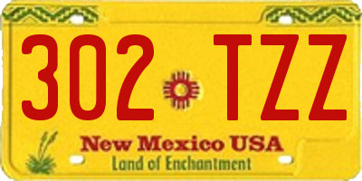 NM license plate 302TZZ