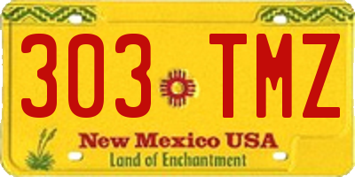 NM license plate 303TMZ