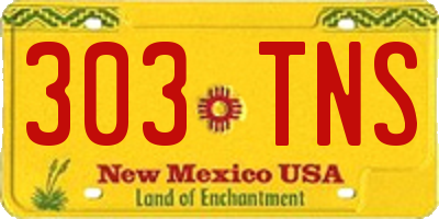 NM license plate 303TNS