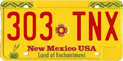 NM license plate 303TNX