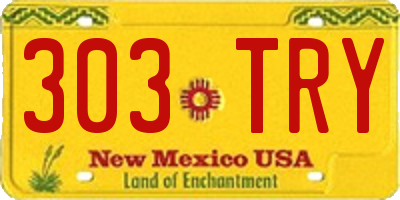NM license plate 303TRY