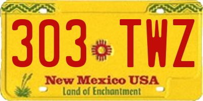 NM license plate 303TWZ