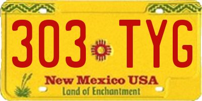 NM license plate 303TYG