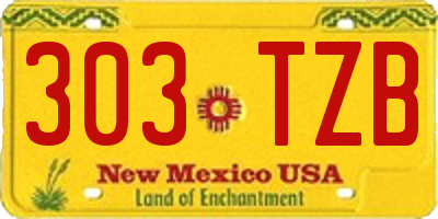 NM license plate 303TZB