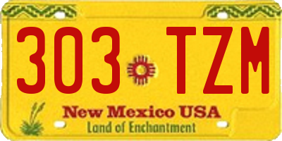 NM license plate 303TZM