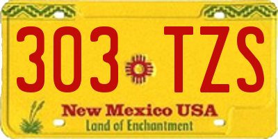 NM license plate 303TZS