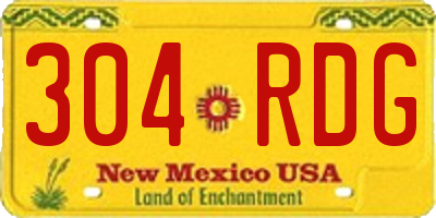 NM license plate 304RDG