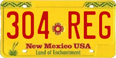 NM license plate 304REG