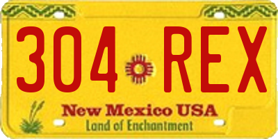 NM license plate 304REX