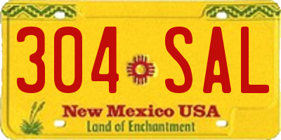 NM license plate 304SAL