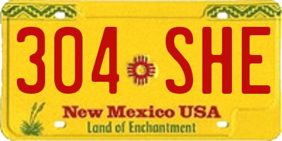 NM license plate 304SHE