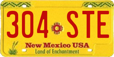 NM license plate 304STE