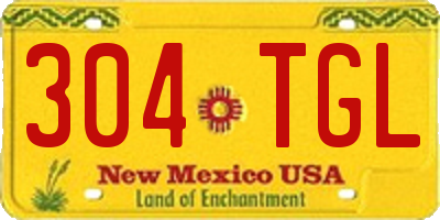 NM license plate 304TGL