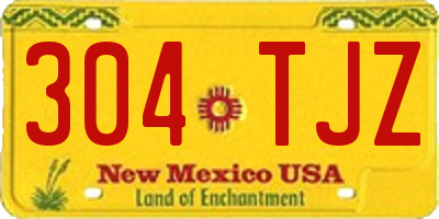 NM license plate 304TJZ