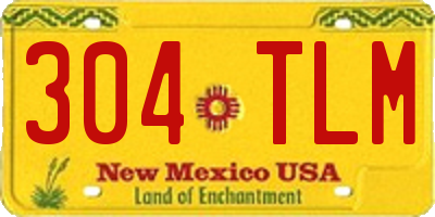 NM license plate 304TLM
