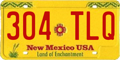 NM license plate 304TLQ