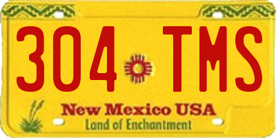 NM license plate 304TMS